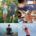 Life Wave Photo banner with custom details and logo (provided)